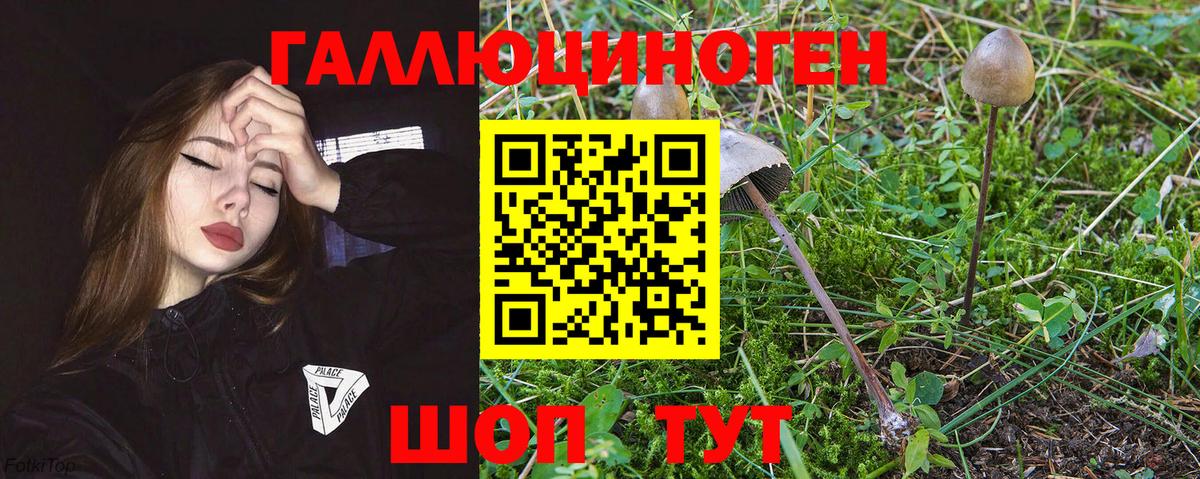 Галлюциногенные грибы мухоморы Нефтеюганск