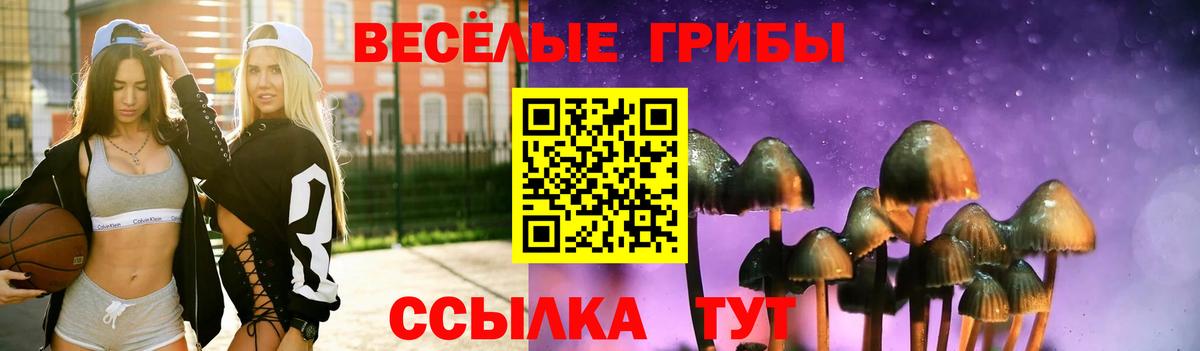 Нефтеюганск  Псилоцибиновые грибы ЛСД  Вход с VPN 